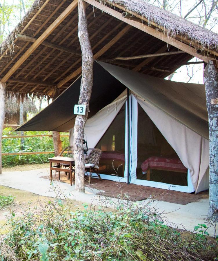 צ'יטוואן Tiger Tops Tharu Lodge מראה חיצוני תמונה