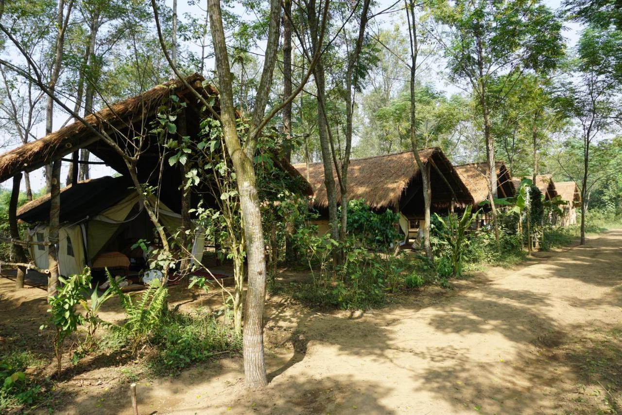 צ'יטוואן Tiger Tops Tharu Lodge מראה חיצוני תמונה