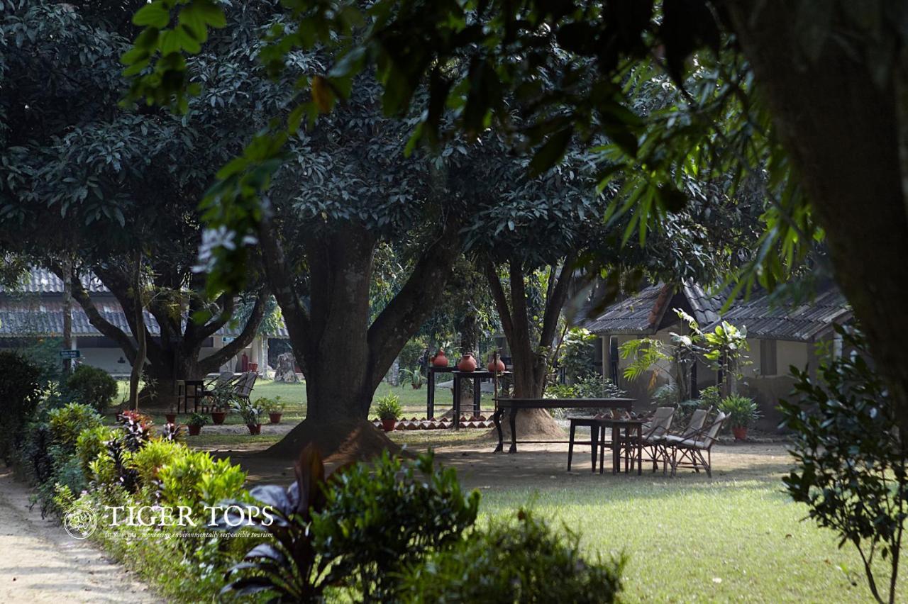 צ'יטוואן Tiger Tops Tharu Lodge מראה חיצוני תמונה
