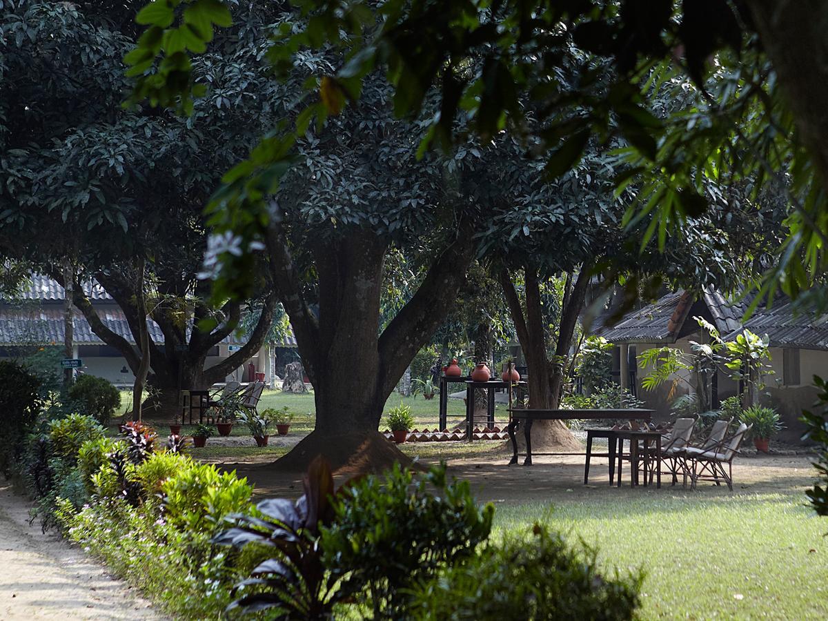 צ'יטוואן Tiger Tops Tharu Lodge מראה חיצוני תמונה