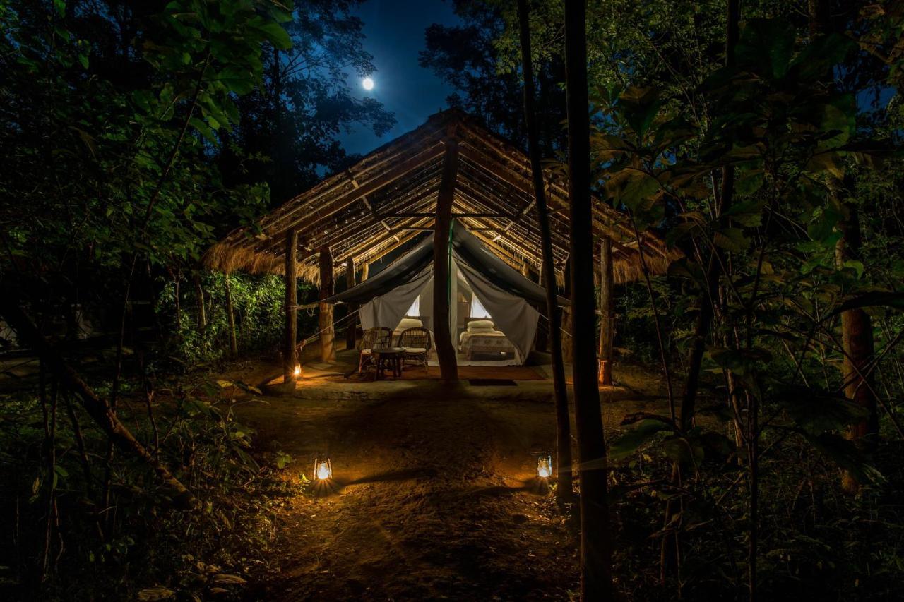 צ'יטוואן Tiger Tops Tharu Lodge מראה חיצוני תמונה