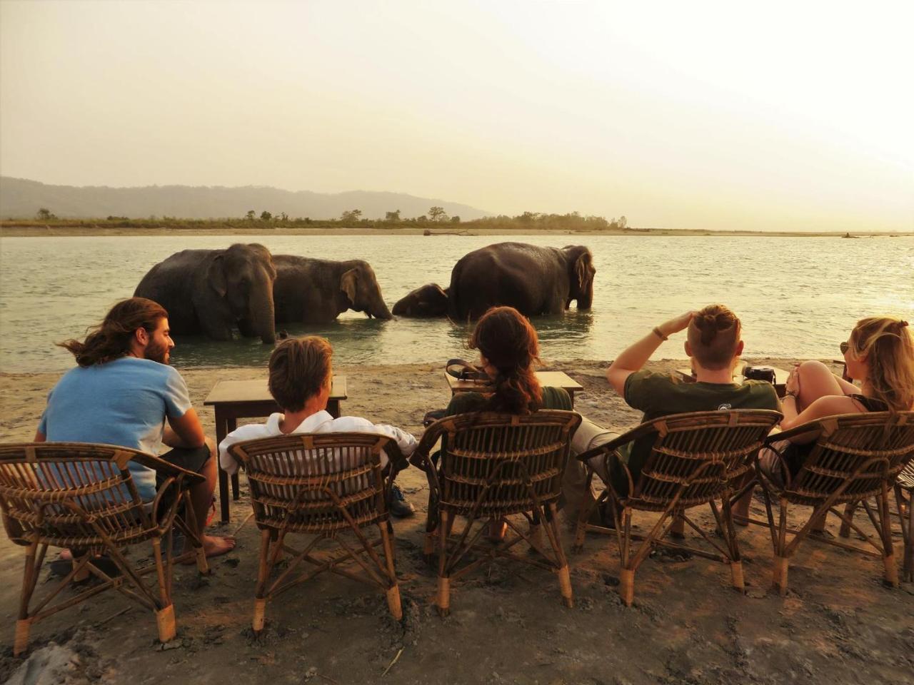 צ'יטוואן Tiger Tops Tharu Lodge מראה חיצוני תמונה